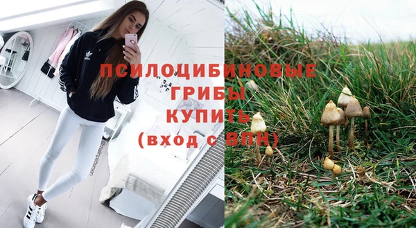 МДПВ Алзамай