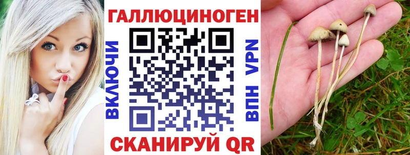 Галлюциногенные грибы Psilocybine cubensis  это клад  Менделеевск 